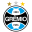 Grêmio Foot-Ball Porto Alegrense