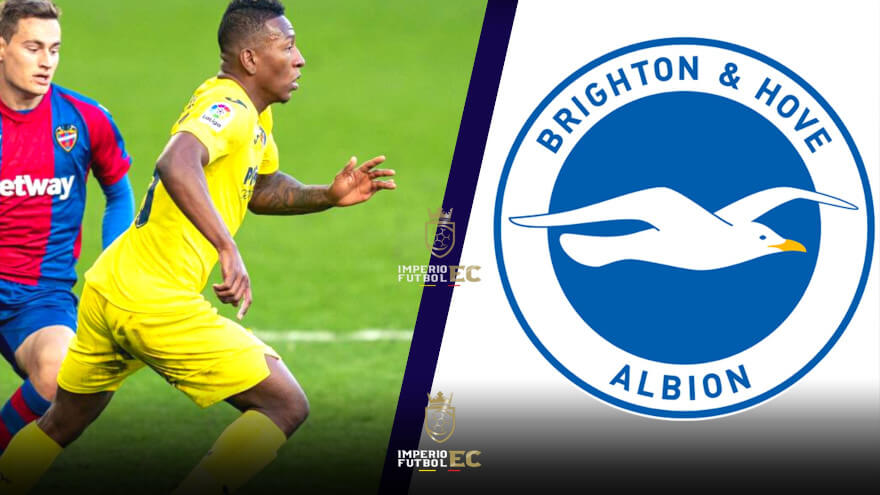 Brighton sumaría su tercer ecuatoriano a sus filas