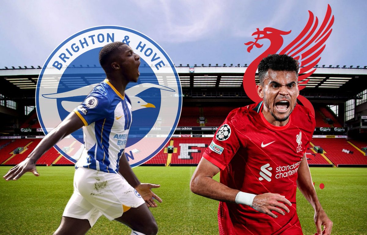 Moises Caicedo Brighton Liverpool