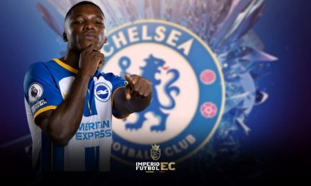 Moises Caicedo Chelsea