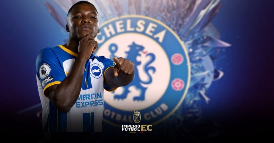 Moises Caicedo Chelsea